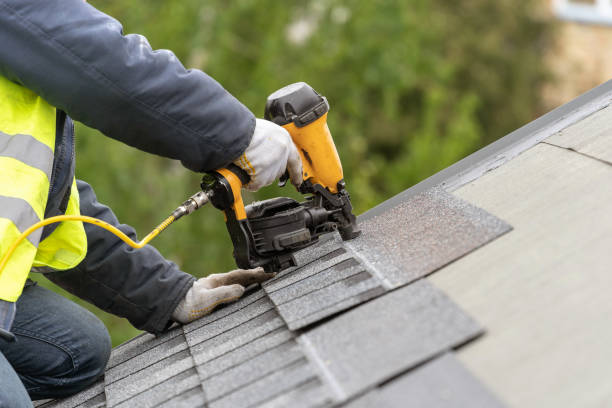 Best Roof Moss and Algae Removal  in Shady Hollow, TX